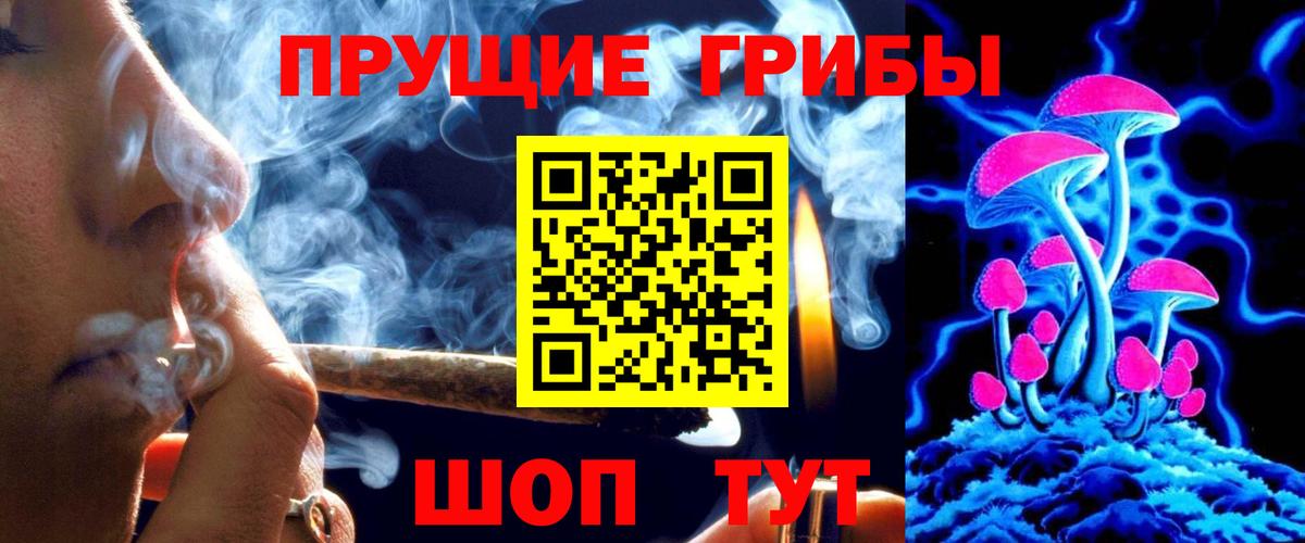 закладки  Вход с VPN  Каменск-Шахтинский  Галлюциногенные грибы GOLDEN TEACHER 